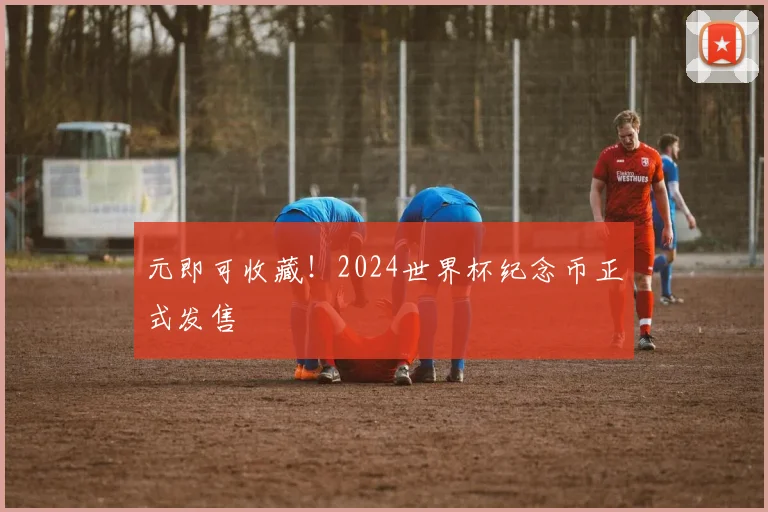 元即可收藏！2024世界杯纪念币正式发售