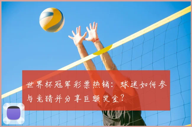 世界杯冠军彩票热销：球迷如何参与竞猜并分享巨额奖金？