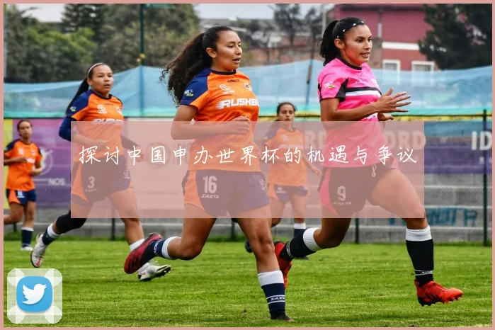 探讨中国申办世界杯的机遇与争议