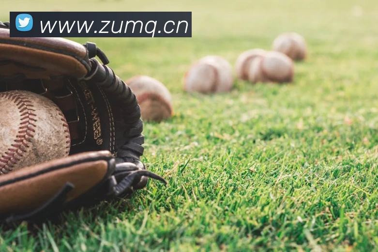 云开体育官网APP 高清赛事图